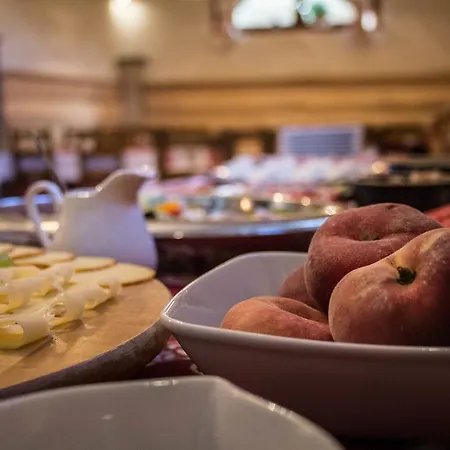 Bed & Breakfast Bukowina 3*